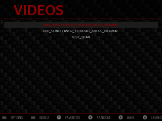 gpivideo2