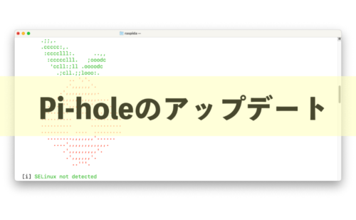 Pi-holeのアップデートはSSH接続してコマンド一行でOK