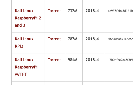 kali-linux-rpi