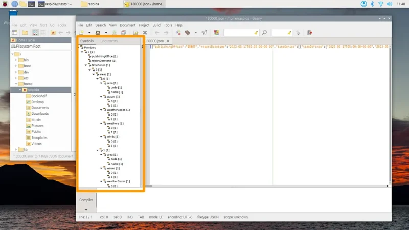 Geanyで表示したjsonファイル