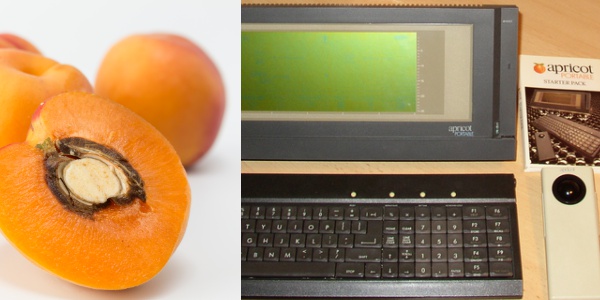 apricot