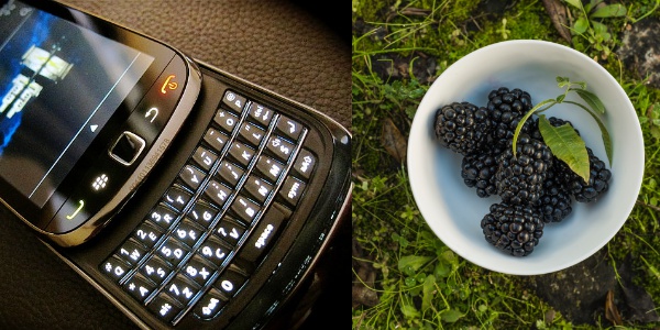 blackberry